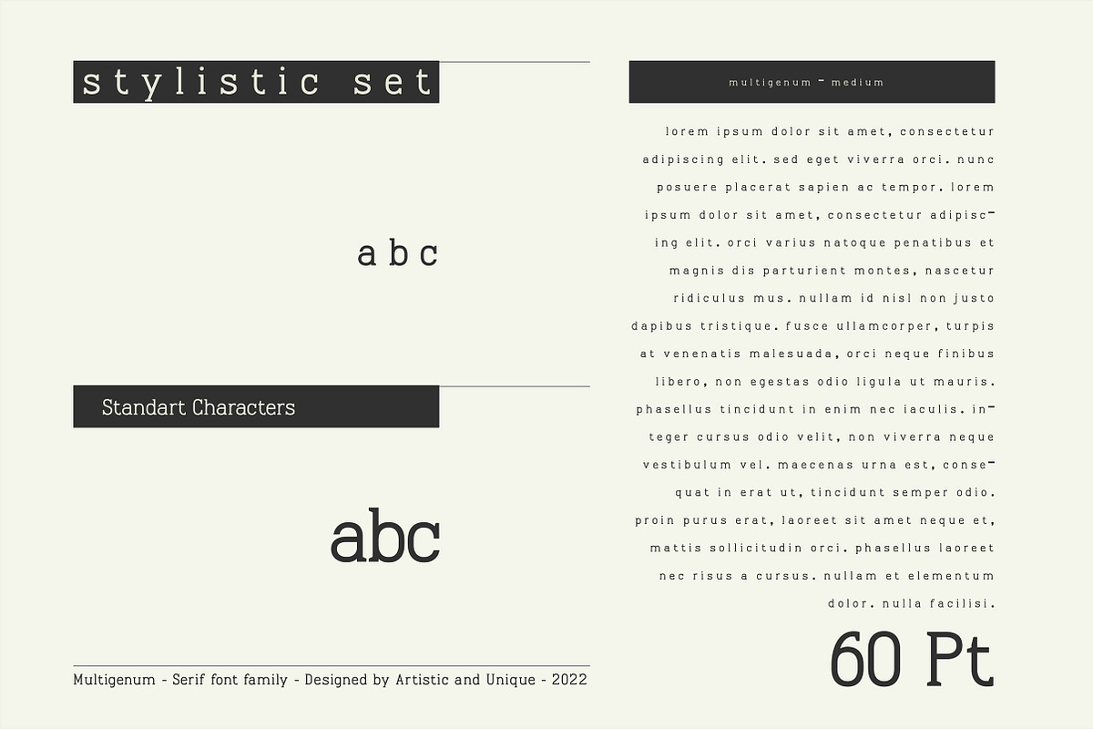 Multigenum - Serif font family, a Serif Font by Artistic & Unique (Photo 7 of 15)