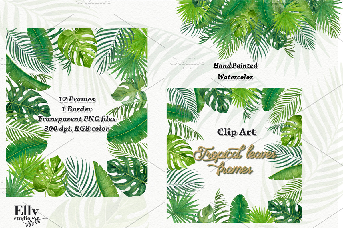 Tropical leaves frames, an Illustration by Elly Studio (Photo 6 of 7)