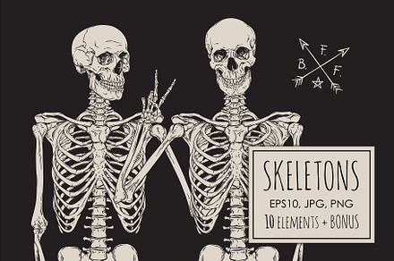 Skeletons, a Healthcare Illustration by Croisy
