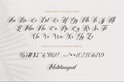 Bailenson, a Script Font by Pista Mova (Thumbnail 7 of 11)