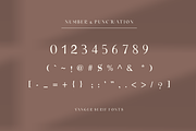 Vanger _ modern serif font, a Serif Font by Penatic Studio (Thumbnail 8 of 10)