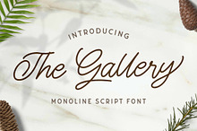 The Gallery - Monoline Script Font