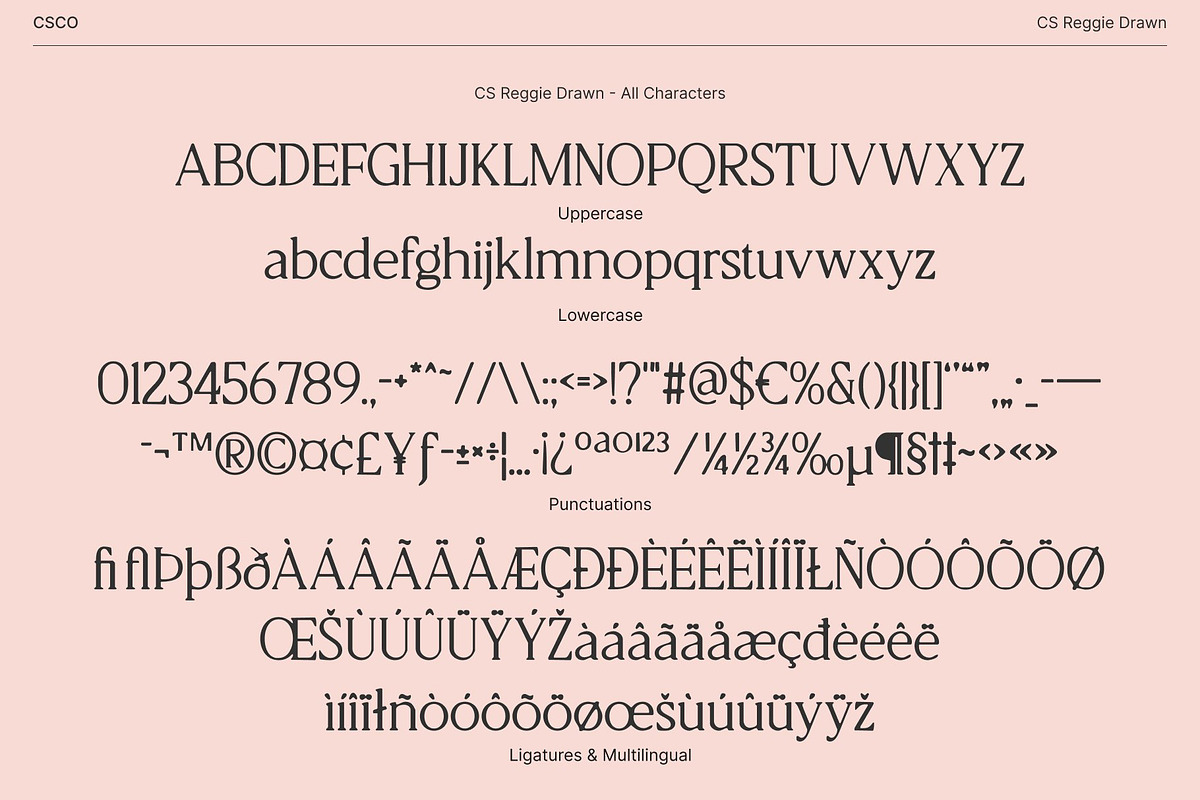 CS Reggie Drawn, a Serif Font by Craft Supply Co. (Photo 8 of 8)