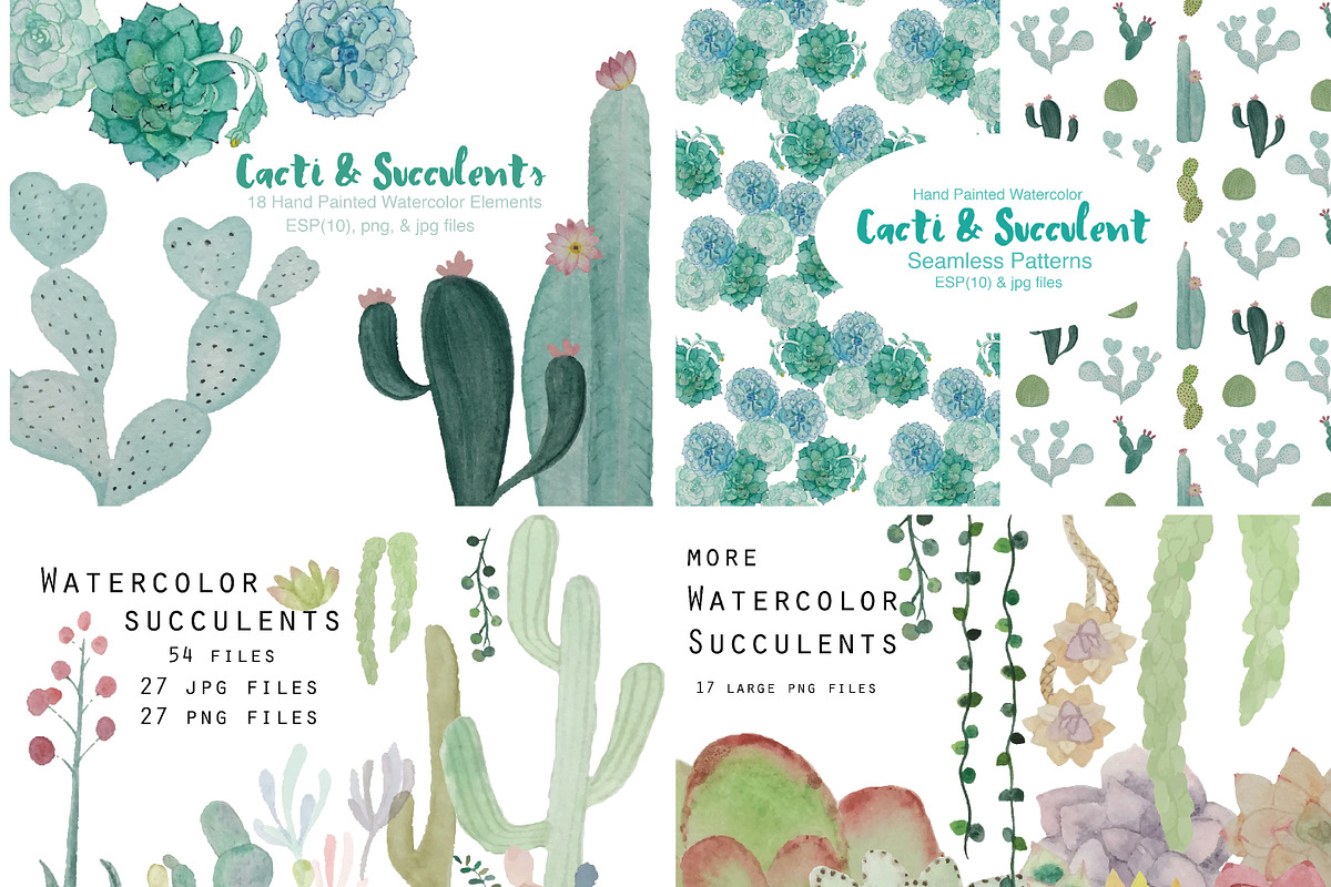 Watercolor Cacti & Succulent 4 pack, an Illustration by Valeri Nick (Photo 1 of 6)
