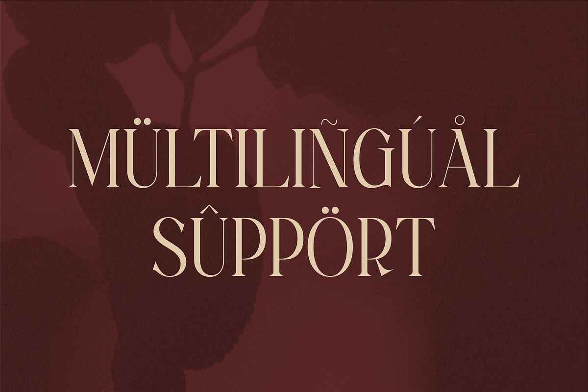 Magfire Hyena Modern Serif Font, a Serif Font by Storytype Studio (Photo 12 of 15)
