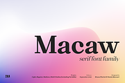 Macaw - Serif Typeface, a Serif Font by Unio Designs (Thumbnail 1 of 11)