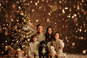 Falling Snow Christmas Tree Backdrop, a Background Photo by Winwin Design Art (Thumbnail 1 of 2)