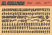 Avelion 3D, a Serif Font by Craft Supply Co. (Thumbnail 8 of 8)
