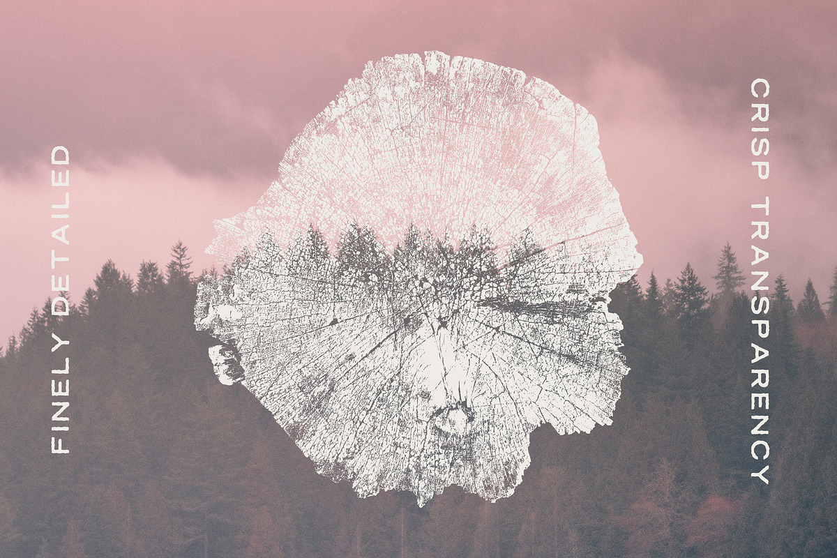Wood Tree Ring Stump Vectors, a Graphic by GhostlyPixels (Photo 3 of 4)