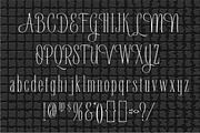 Poster Script, a Serif Font by Art And Sign Unlimited (Thumbnail 2 of 4)