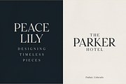 Luxury Serif Collection - 8 Fonts, a Serif Font by Only Fonts (Thumbnail 4 of 12)