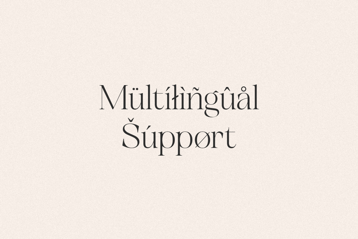 Unclare Modern Ligature Font, a Serif Font by Heinzel Std (Photo 10 of 14)