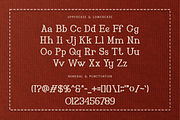 Elizabeth - Embroidery Serif Font, a Serif Font by overlaytemplates (Thumbnail 5 of 5)