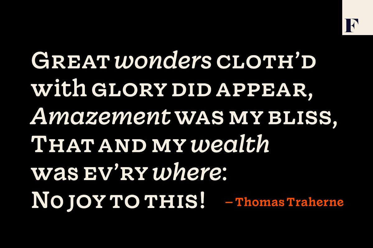 Wonder, a Serif Font by Fenotype (Photo 5 of 15)