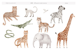 WILD Illustrations&patterns