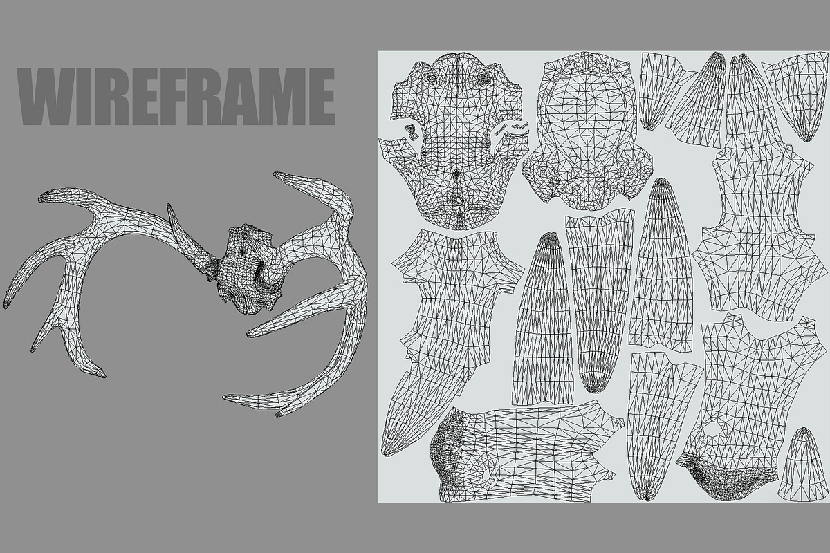 Deer Horns, an Animal 3D Model by Beatheart Creative Studio (Photo 17 of 17)