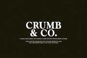 Avenger - Vintage Serif, a Serif Font by Schrifted Type (Thumbnail 6 of 8)