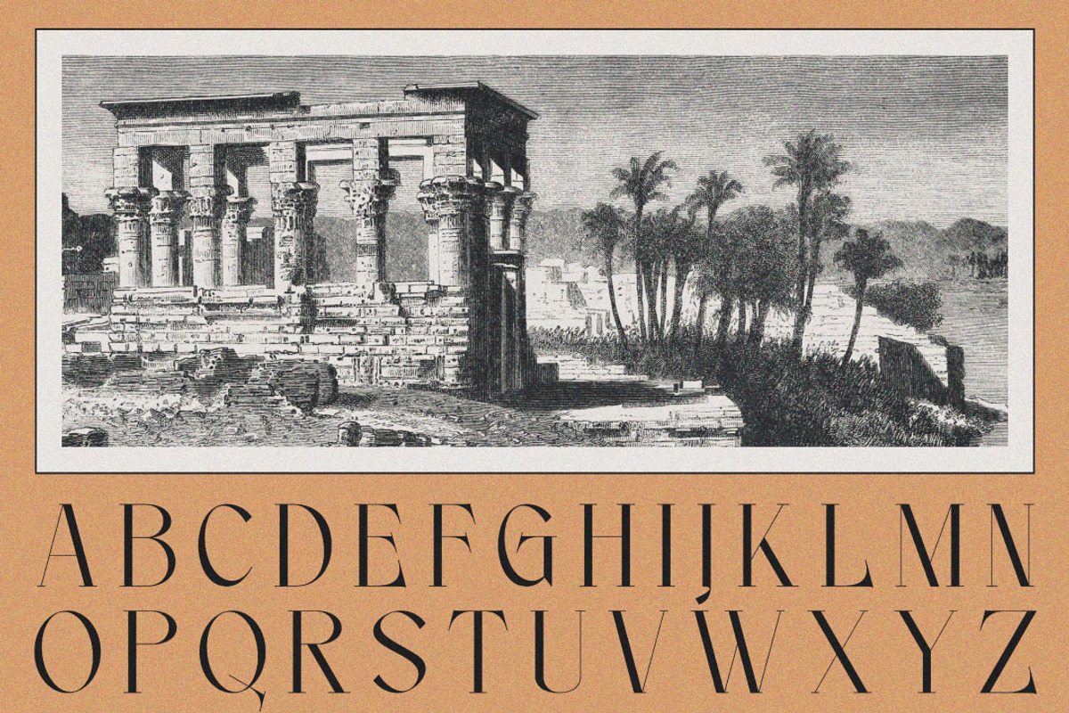 Noleum - Display Serif, a Serif Font by executypeStudio (Photo 2 of 12)