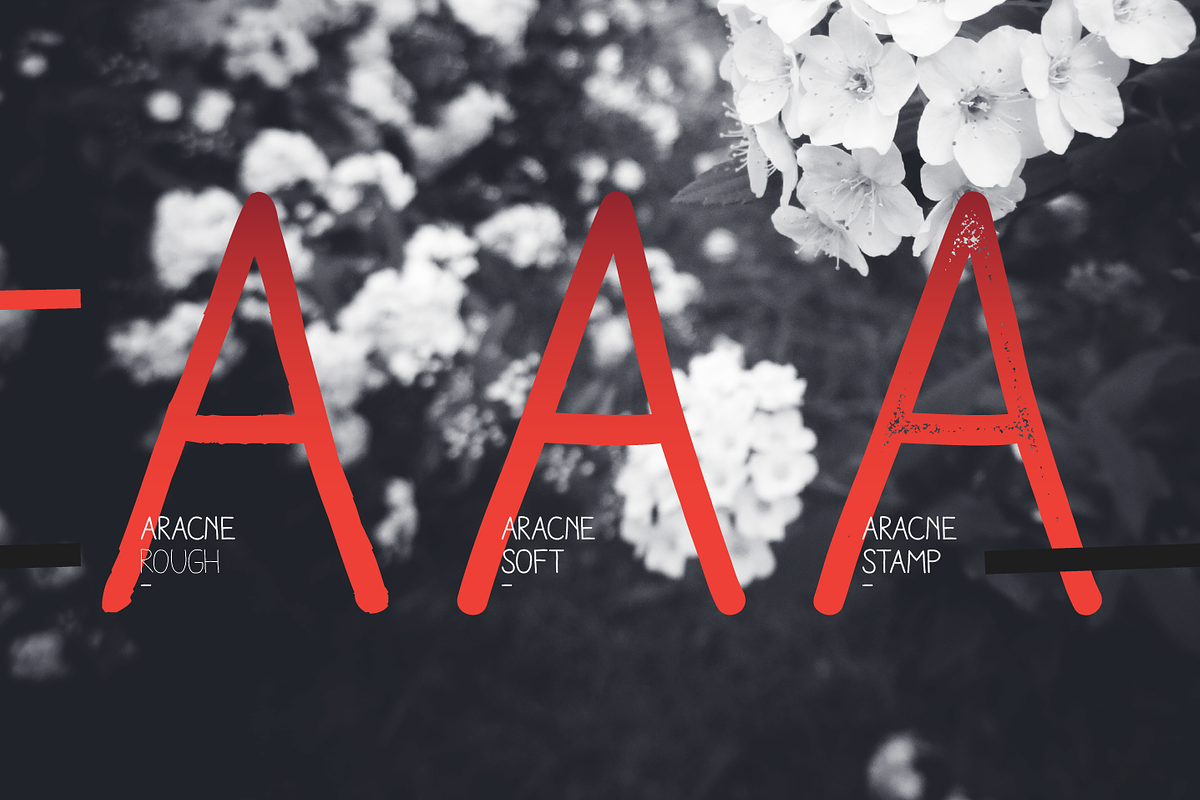 Aracne preview 3