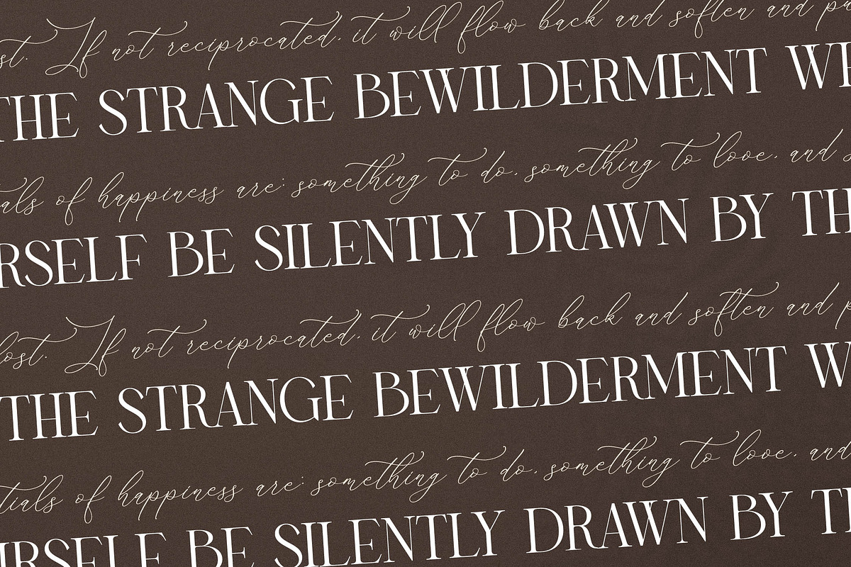 Storyline Regario Font Duo, a Serif Font by Storytype Studio (Photo 6 of 15)