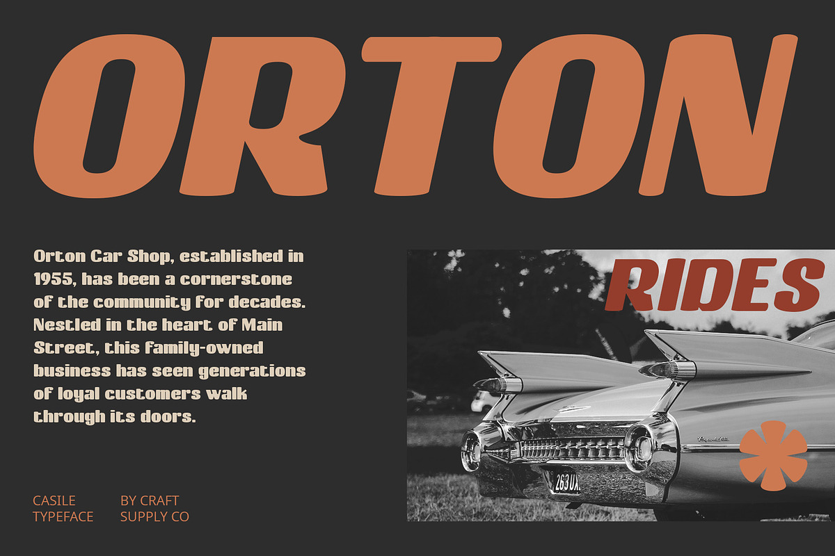 Casile – Bold Font, a Sans Serif Font by Craft Supply Co. (Photo 2 of 8)