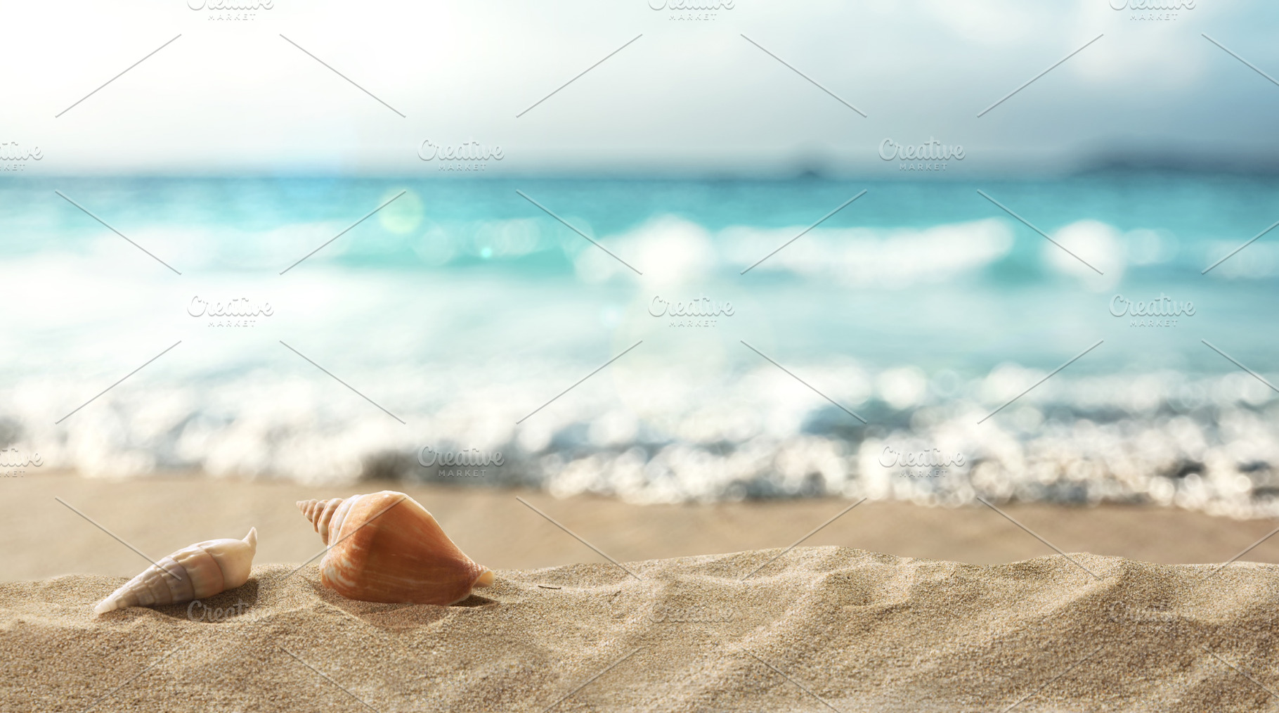 Seashells on Sunny Tropical Beach, a Holiday Photo by Davizro's Market