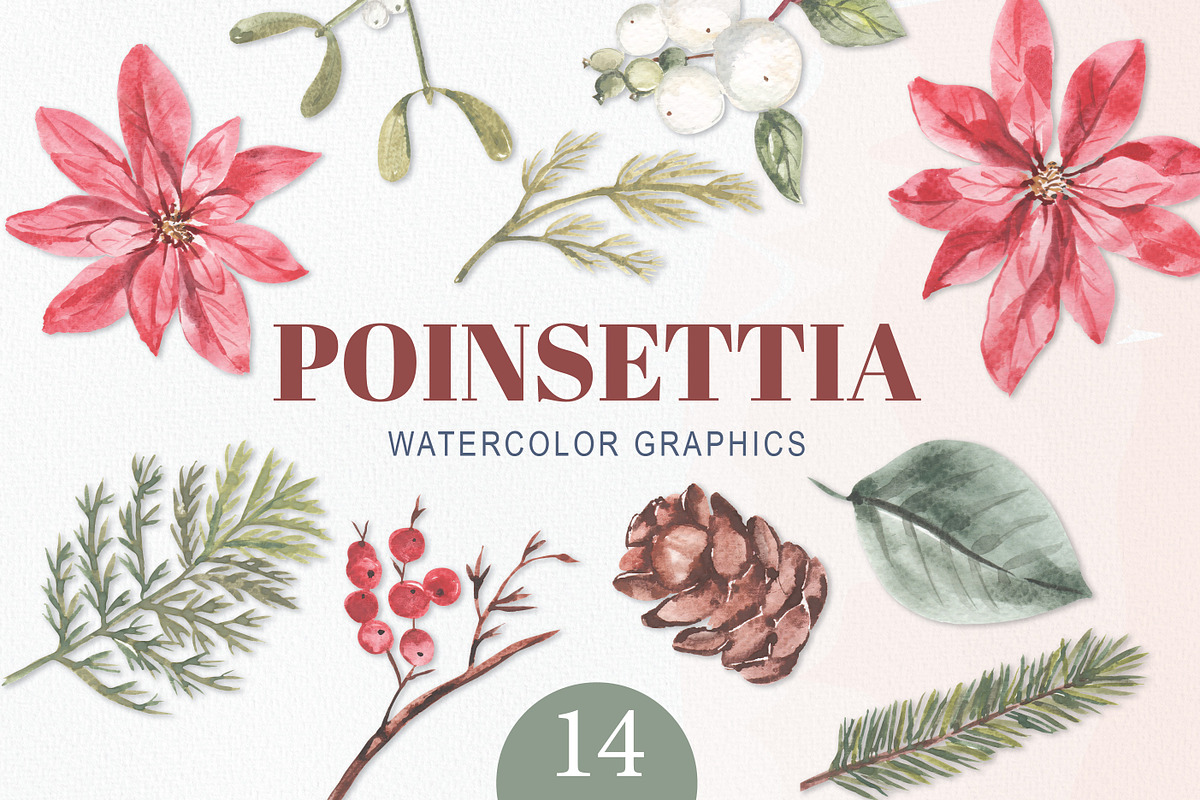 Poinsettia Festive Watercolor Floral, an Object Graphic by Bloomella (Photo 1 of 4)
