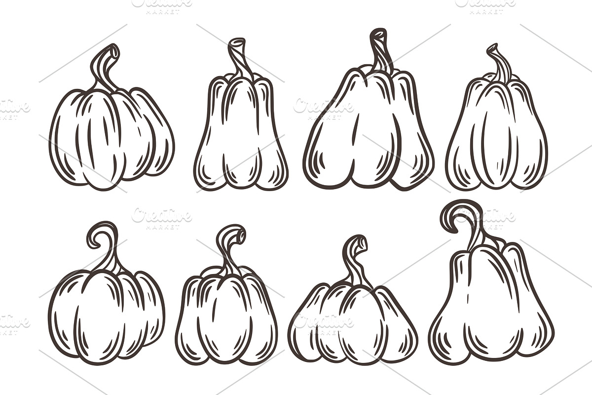 Set of pumpkins of different shapes, a Food Illustration by Tati_Kli