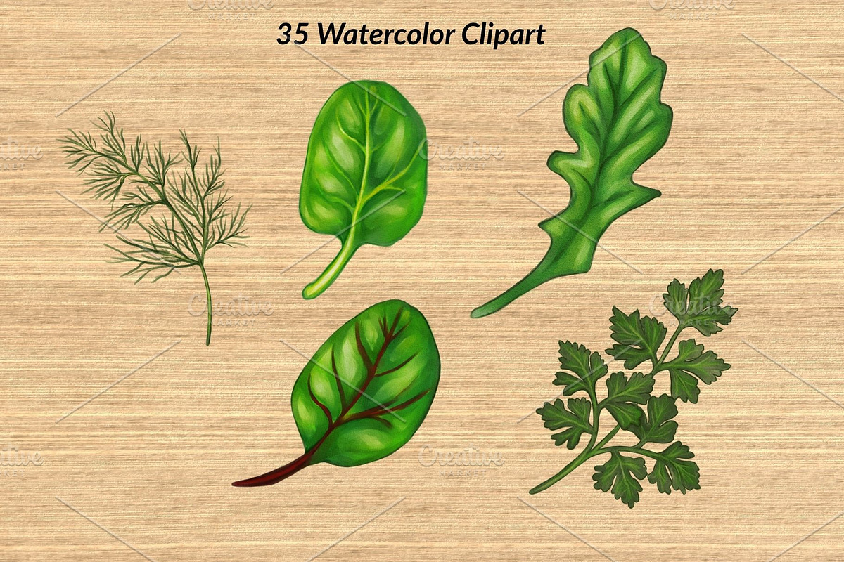 Watercolor Vegetables, a Food Illustration by Elatedowl (Photo 8 of 17)