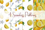 Botanical Style Lemon Illustrations, a Food Illustration by Milla_Zelenyuk_art (Thumbnail 3 of 3)