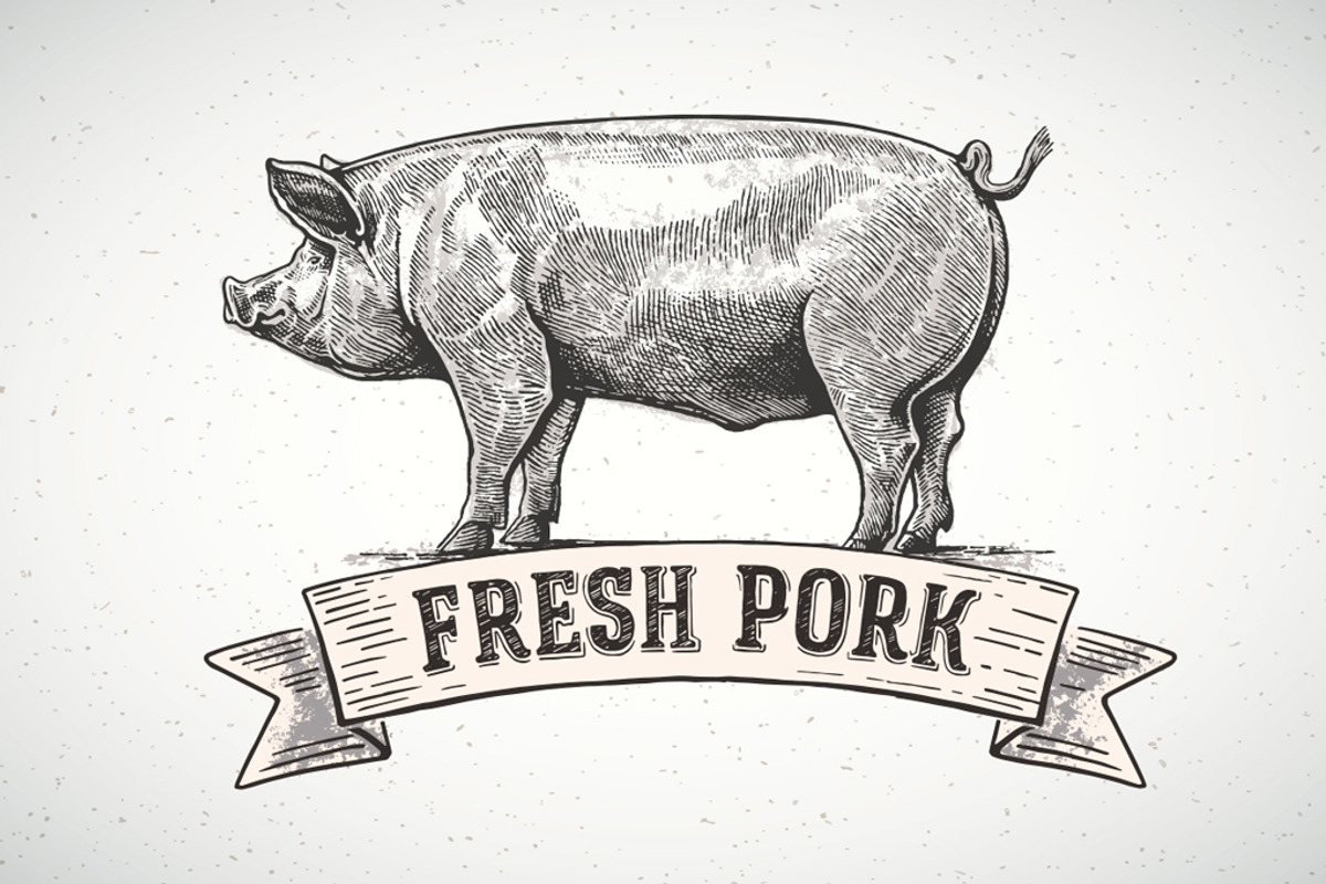 Pigs in graphical style, an Animal Illustration by Countryside life (Photo 8 of 11)