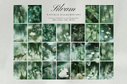 Silvam - Natural Backgrounds, a Background Graphic by Watercolor_Ma (Thumbnail 7 of 9)