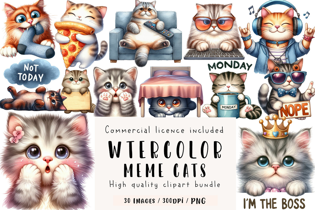Funny Meme Cats Sublimation Clipart, an Illustration by CreationArt (Photo 1 of 5)