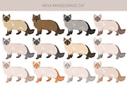 Neva Masquerade cat, an Animal Illustration by pet design shop (Thumbnail 2 of 6)
