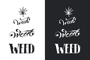 Weed. Stoner gadgets & accessories, a Healthcare Illustration by Margo Miller (Thumbnail 33 of 45)