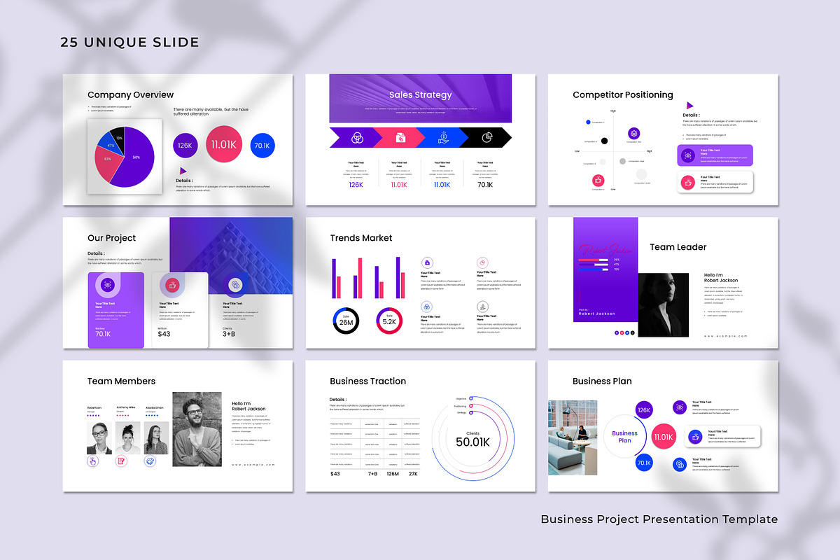 Business Project Presentation Templa preview 7