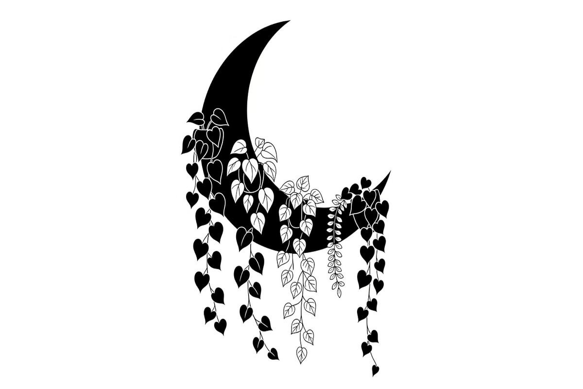 Hanging Moon with Plants Bundle, an Illustration by Designs_River (Photo 28 of 31)