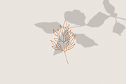 Shadow Shapes, an Illustration by amber&ink (Thumbnail 7 of 9)