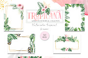 Watercolor tropical collection, an Object Graphic by Ana-Sakuta (Thumbnail 7 of 16)