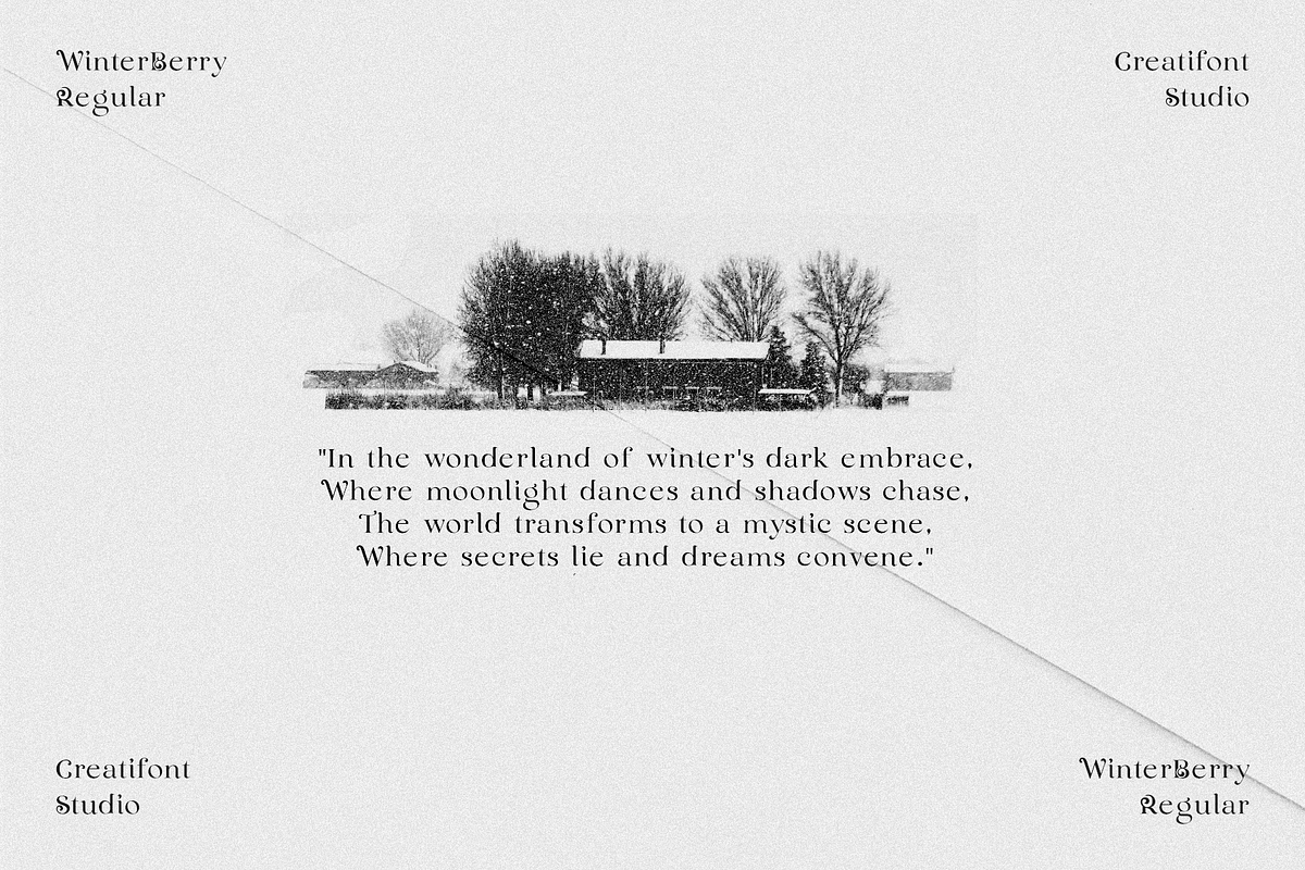 CF Winterberry - Christmas Serif, a Serif Font by Indotype Foundry (Photo 2 of 10)