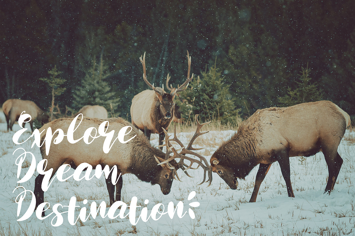 CorkScrew - Quirky Handwritten Font, a Script Font by erlosDESIGN (Photo 8 of 10)