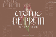 The Bright Lake Font Duo + Logos, a Serif Font by SNIPESCIENTIST (Thumbnail 21 of 31)
