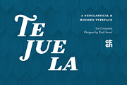 LC Tejuela, a Serif Font by CTCH (Thumbnail 1 of 13)