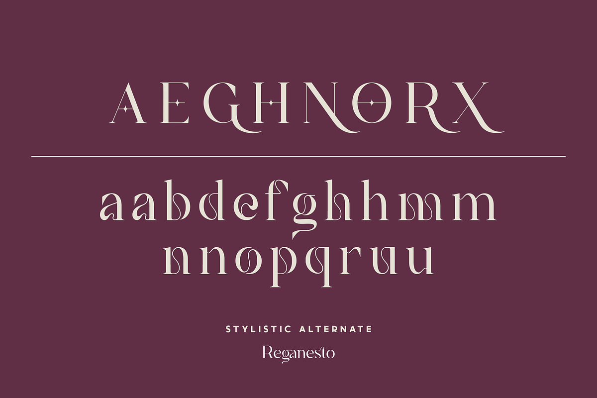 Reganesto - Modern Serif Typeface, a Serif Font by Haksen (Photo 9 of 11)