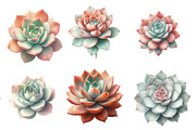 Watercolor Boho Succulents Clipart, an Illustration by Designworld (Thumbnail 2 of 5)