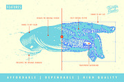 Hand Pointers & Indexes - BRMV 01, an Illustration by Thundr Co. (Thumbnail 2 of 12)