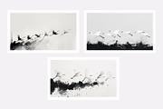 Gret Collection · Egrets in Flight, an Animal Illustration by milatovar (Thumbnail 2 of 17)