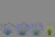 Shrub 2, an Environmental 3D Model by AndrewWhite (Thumbnail 12 of 14)