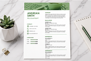 MODERN RESUME TEMPLATE (R9), a Resume Template by dulchaer29 (Thumbnail 2 of 4)