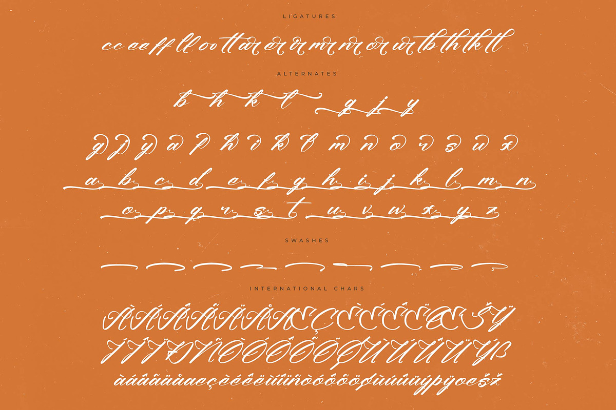 Climbing Nature Modern Calligraphy, a Script Font by Letterena Studios Script (Photo 14 of 15)